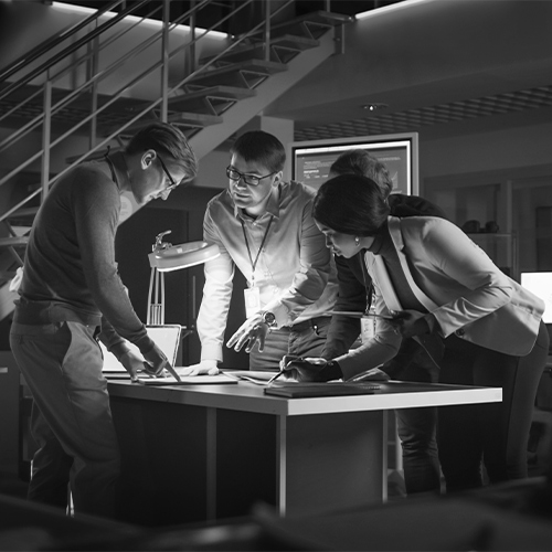Risicomonitoring Home - House of Investigations